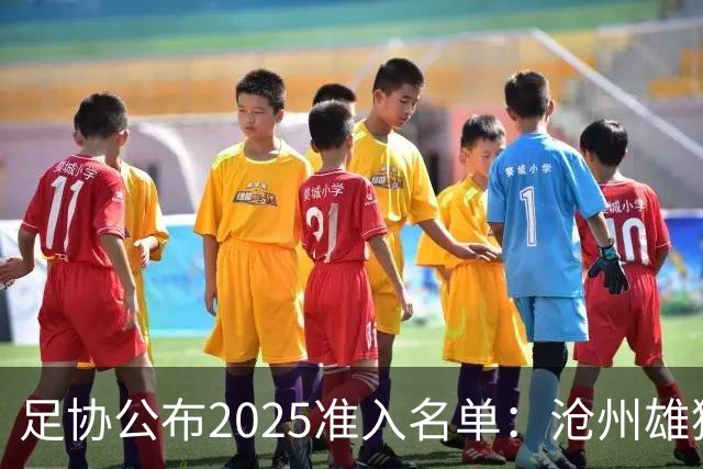 足协公布2025准入名单：沧州雄狮、广州队无缘